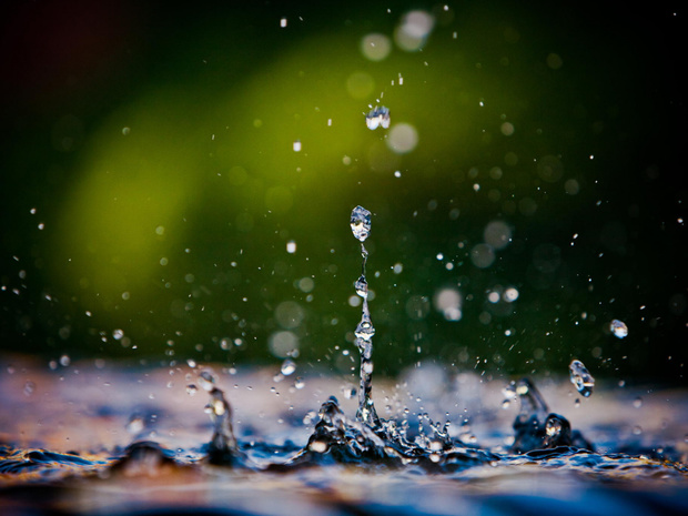 Ph воды: как он влияет на эффективность химического раствора для обработки растений